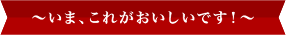 新着情報
